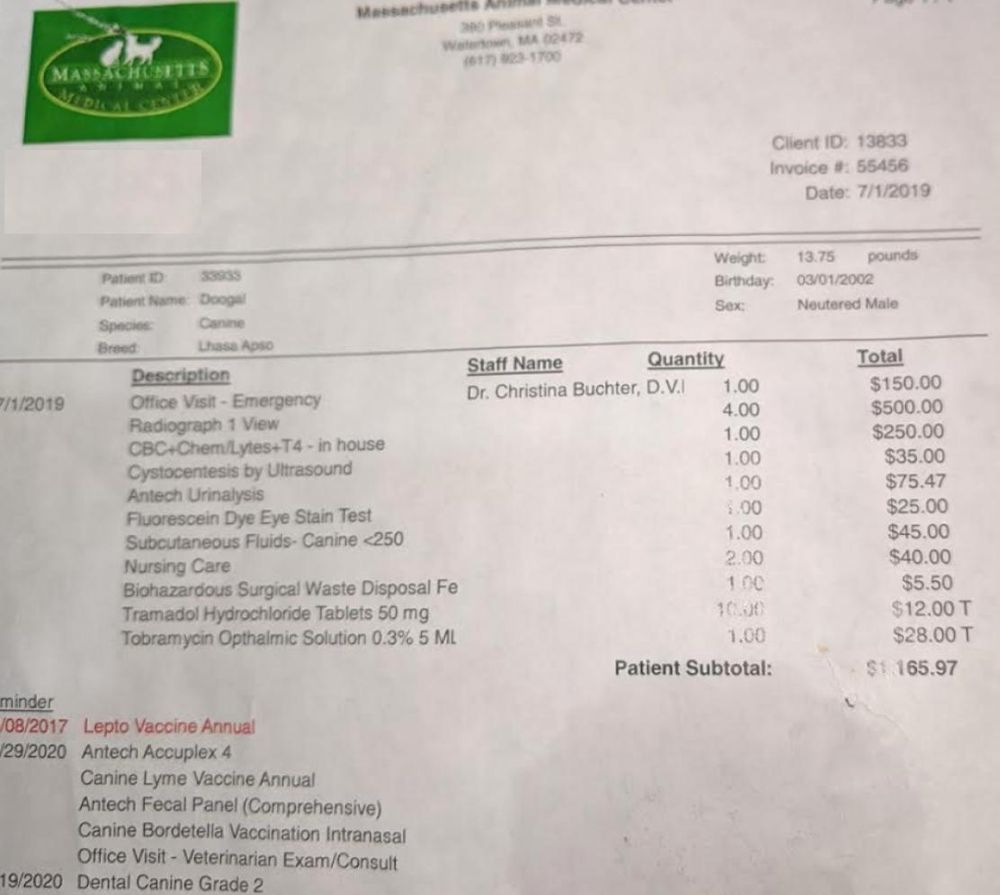 TOUREEN PET RESORT AND SPA 83 Photos & 138 Reviews Pet Sitting