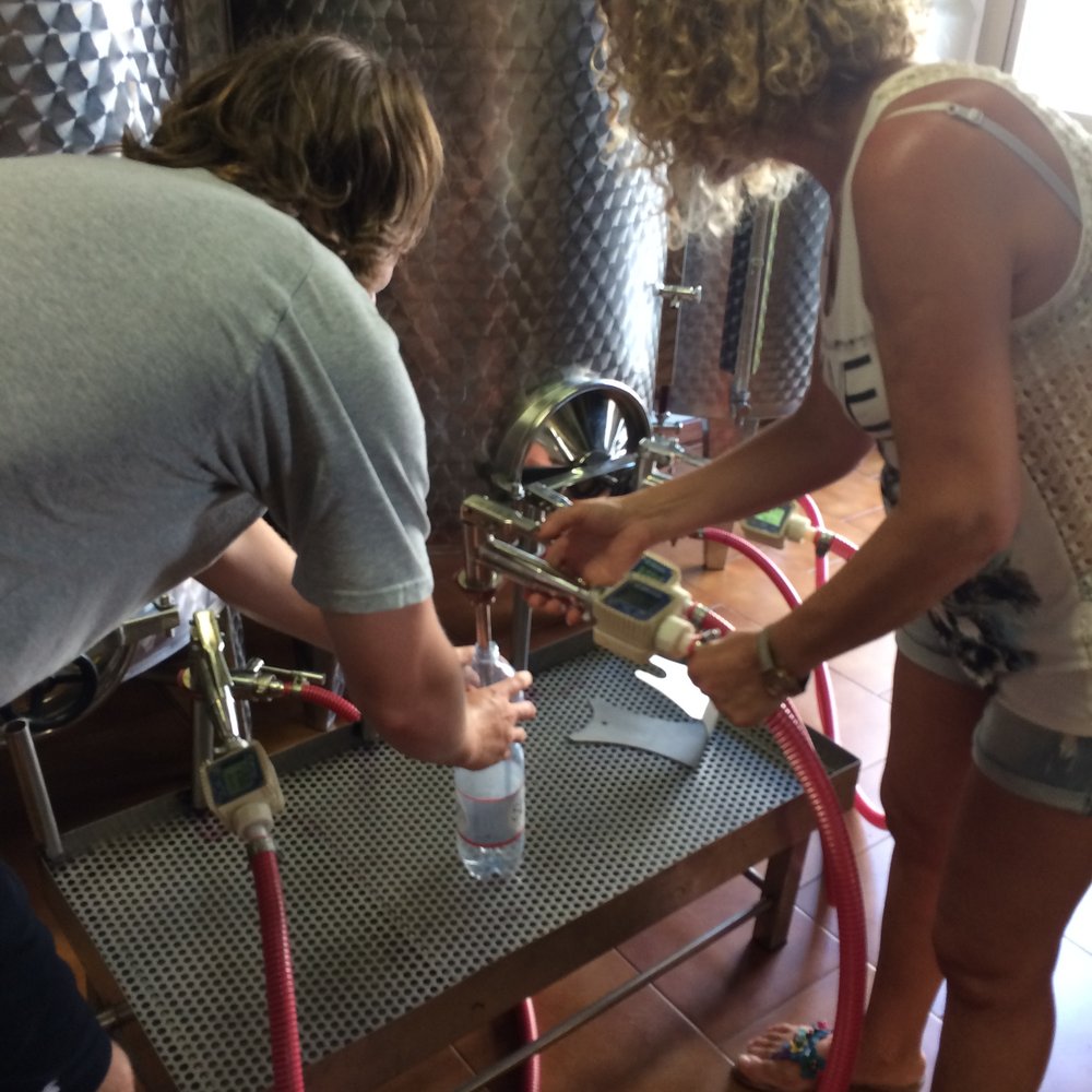 Fiasco & Bottiglia - filling the white - Wine Tasting Room Near Me - Poggibonsi, SI
