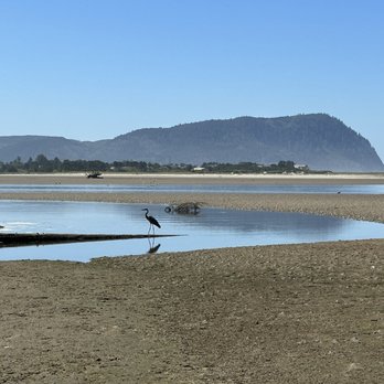 The Pacific Way - New American Near Me - Gearhart, Oregon The Pacific Way - New American Near Me - Gearhart, Oregon