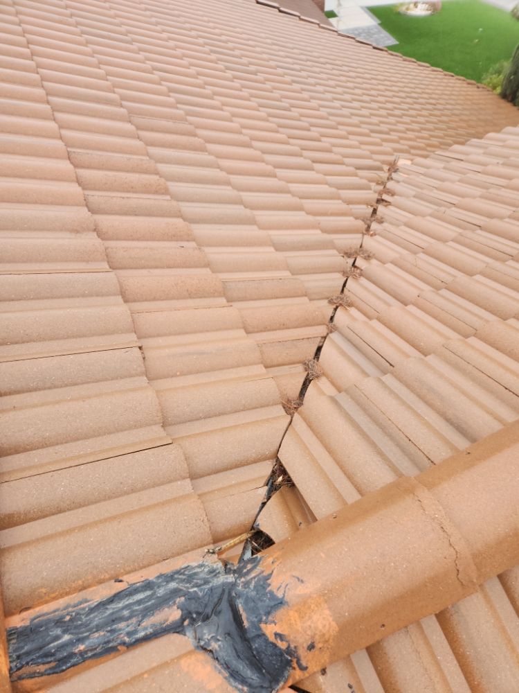 Slide of Mayans & Handyman