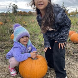 Piefer Family Farm - Mine!