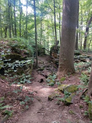 Worden's Ledges by null