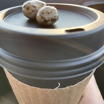 The Human Bean - Our purchase with candied coffee bean on top. - Coffee & Tea Near Me - Kingman, Arizona