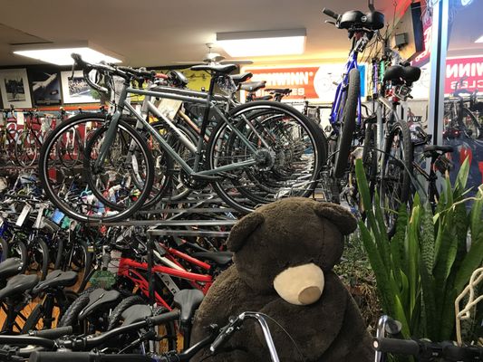 Barnard's Cyclery by null