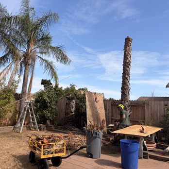 North Ridge Tree Service - Tree Services Near Me North Ridge Tree Service - Tree Services Near Me
