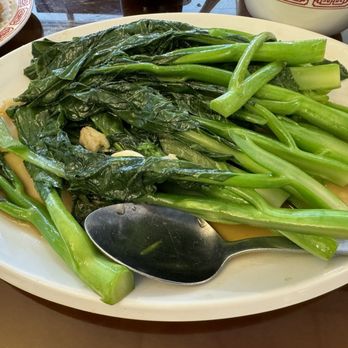 Toa Toa Chinese Restaurant - Dim Sum Near Me - Sunrise, Florida Toa Toa Chinese Restaurant - Dim Sum Near Me - Sunrise, Florida