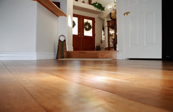 Las Vegas Future Floors