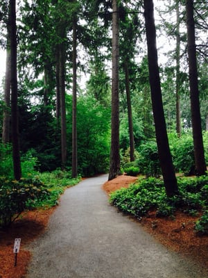 Rhododendron Species Botanical Garden by null