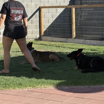Proving Ground Kennels - Pet Training Near Me Proving Ground Kennels - Pet Training Near Me