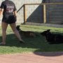 Photo of Proving Ground Kennels
