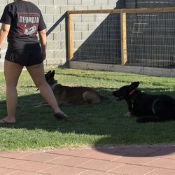 Proving Ground Kennels