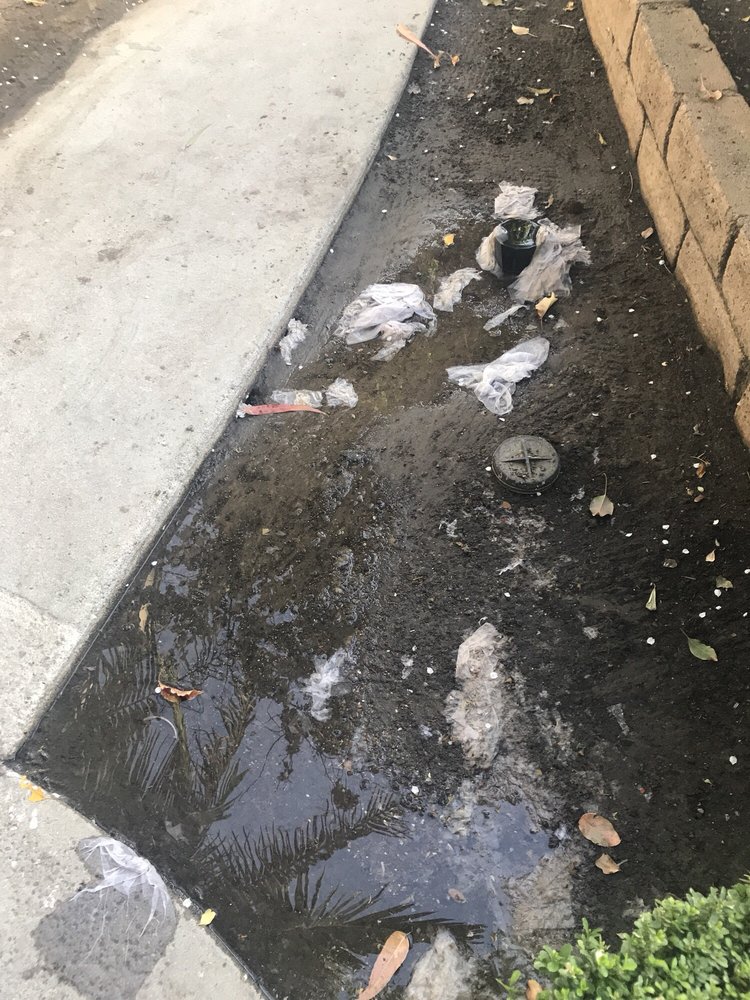 PARKWOOD APARTMENTS Updated October 2024 16 Reviews 18540 Collins