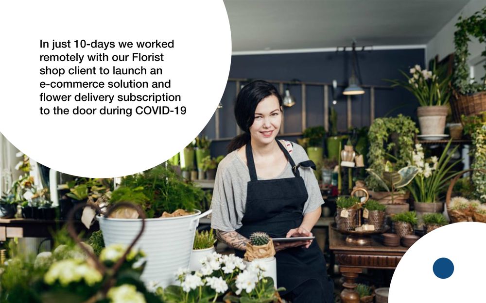 PROPELLER Request Consultation 1541 Ocean Ave, Los Angeles