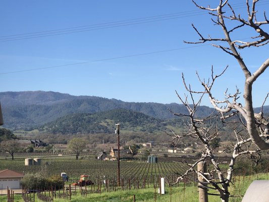 Robert Sinskey Vineyards by null