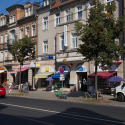 Foto Wolf - Portalansicht, schräg von gegenüber