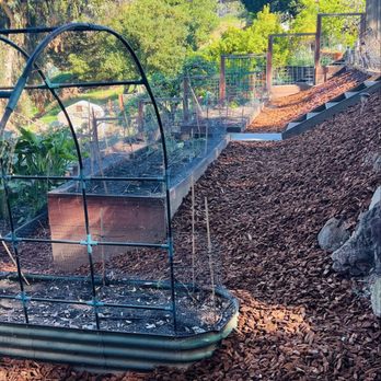 Ayon Landscaping - Landscaping Near Me - Newark, California Ayon Landscaping - Landscaping Near Me - Newark, California