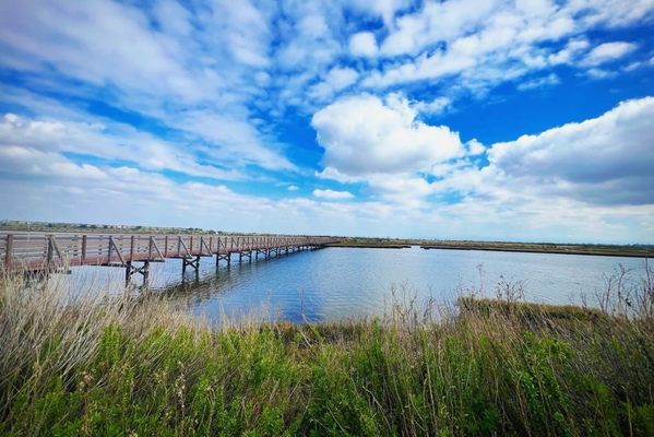 Bolsa Chica Ecological Reserve by null