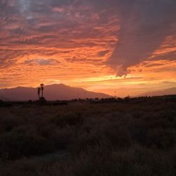 Phoenix Rising Recovery - Night sky (it looks like this often)