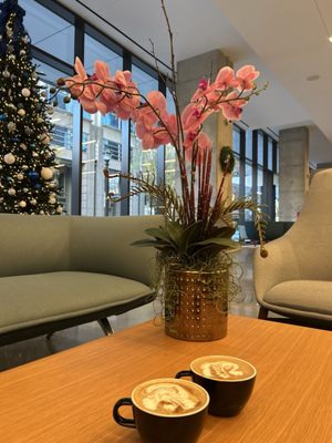 Apotheos Coffee Midtown by null