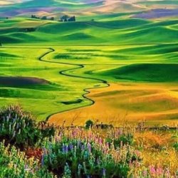Tuc N Roll RV Park - Steptoe Butte