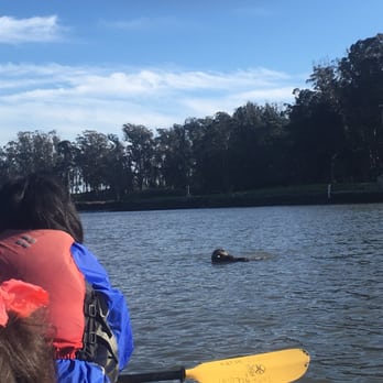 Kayak Connection - Rafting/Kayaking Near Me - Moss Landing, California Kayak Connection - Rafting/Kayaking Near Me - Moss Landing, California