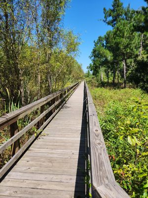 Caw Caw Interpretive Center by null