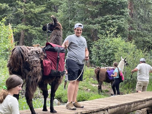 Paragon Guides by null