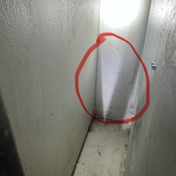 Mold regrowth found after it was "treated"