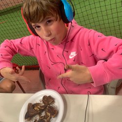All Stars Sportsplex - Snack time...Healthy wheat toast with homemade nutella
