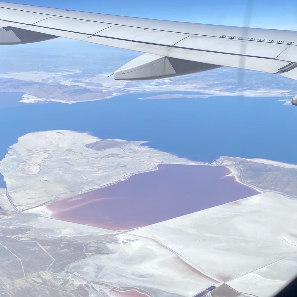 United Airlines - 09.03.20 patch of purple :) - Airlines Near Me - Sacramento, California United Airlines - 09.03.20 patch of purple :) - Airlines Near Me - Sacramento, California