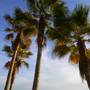 Heisler Park - Parks Near Me - Laguna Beach, California Heisler Park - Parks Near Me - Laguna Beach, California