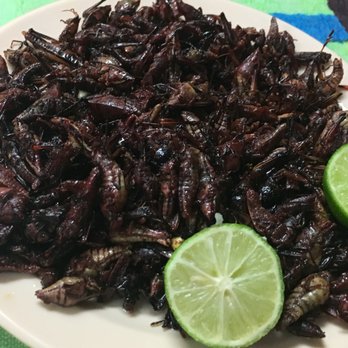 Panaderia Oaxacaqueña Y Restaurant - CHAPULINES (fried grasshoppers) - Mexican Near Me - Vista, California