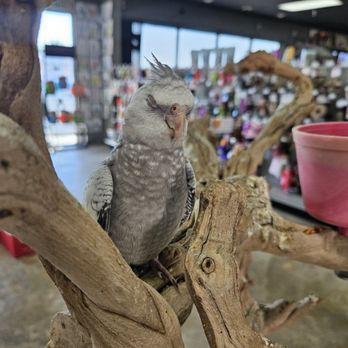 Valley Pet & Supply - Leave me alone.  I'm sleepy. - Pet Stores Near Me - La Puente, California