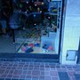 Photo of Bruna Bellini