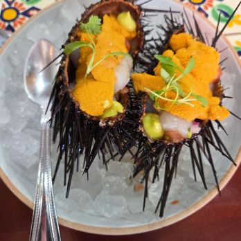 Holbox - Latin American Near Me - Los Angeles, California Holbox - Latin American Near Me - Los Angeles, California