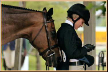 Fox Meadow Farm - equestrian in Temperance, MI