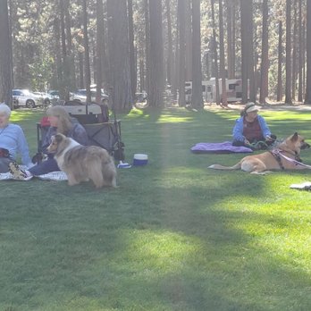 Wild Blue Dog Camp - One of the classes - Summer Camps Near Me - Seal Beach, Nevada