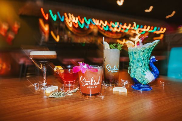 Starbird Lounge by null