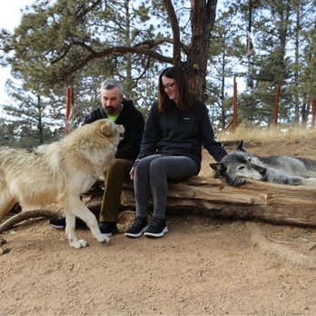 Colorado Wolf and Wildlife Center - Zoos Near Me - Divide, Colorado Colorado Wolf and Wildlife Center - Zoos Near Me - Divide, Colorado