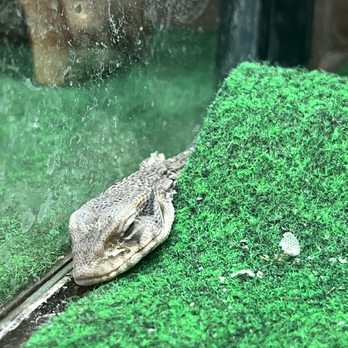 Monster Pets - Pet Stores Near Me - Philadelphia, Pennsylvania Monster Pets - Pet Stores Near Me - Philadelphia, Pennsylvania