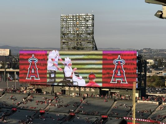 Angel Stadium by null