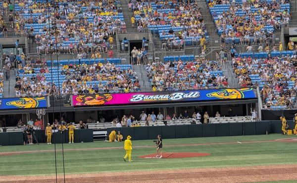 Bank of America Stadium by null