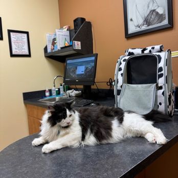 CRESTWOOD COURT VETERINARY CLINIC Updated July 2025 44 Photos 89