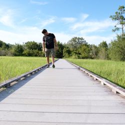 Prairie Pines Preserve