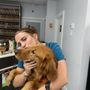 Photo of Gardens Animal Hospital