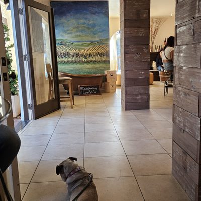 Dawn's Dream Winery by null