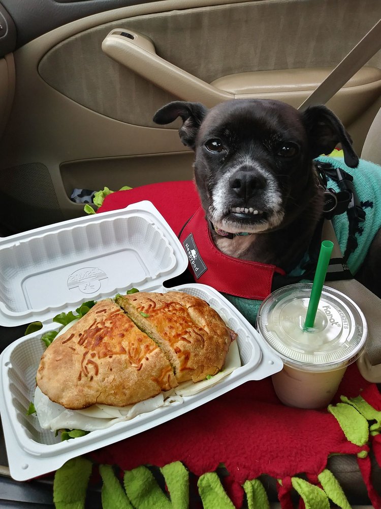 MALIBU BAGEL CAFE 60 Photos & 126 Reviews Bagels 1601 N Mountain