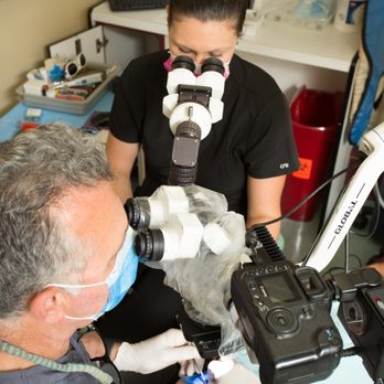 Dreyer Mark DMD PA - Dr. Dreyer and team - General Dentistry Near Me - Wintergarden, Florida