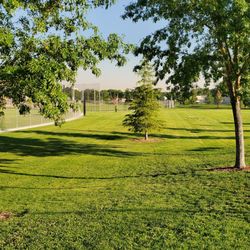Tingley Field Park