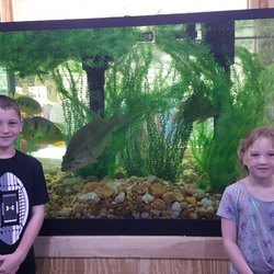 Okeechobee Fishing Headquarters - Amazing aquarium at Lake Okeechobee Fishing Headquarters!